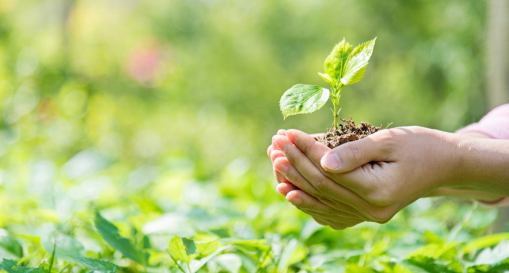 Beyond Sell or Bell: Alternative Exit Strategies Every Investor Should Know