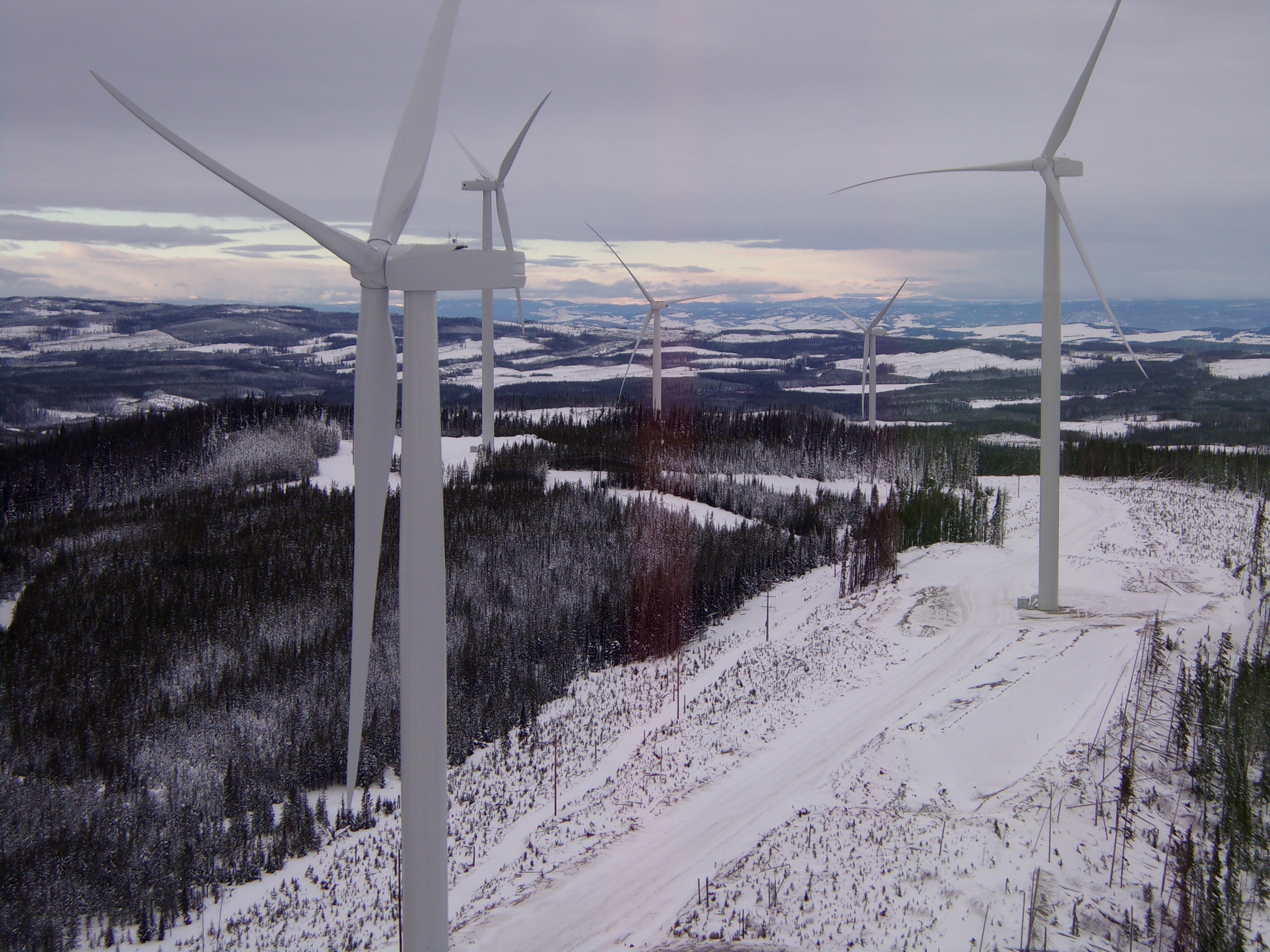 The Impact of ESG And Stakeholder Engagement in Private Capital Investing