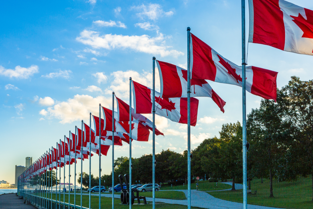 Row of Canadian flags along a pathway in a park under blue sky